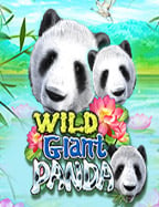 เบิกบานโลกสล็อตด้วยสล็อต sumo